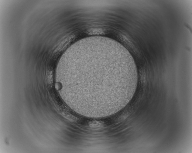 X0000103140549200809121756