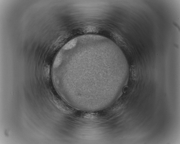 X0000103140550200809121756