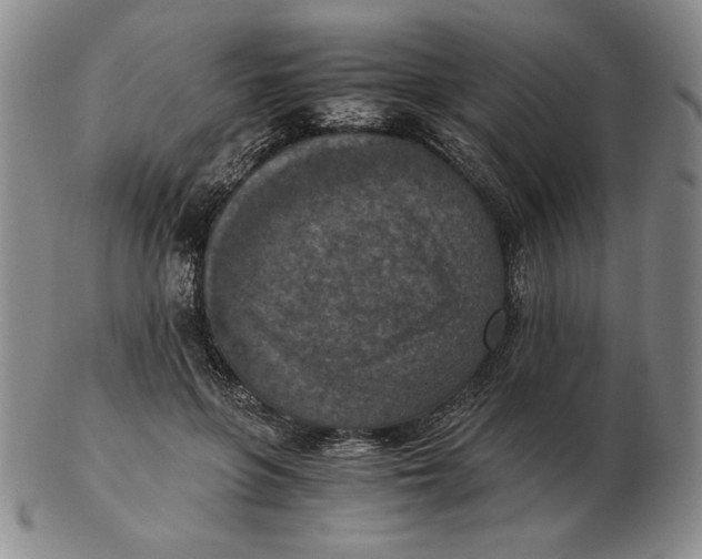 X0000103140551200809121756