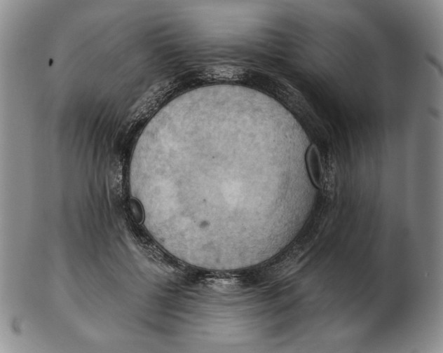 X0000103140552200809121756