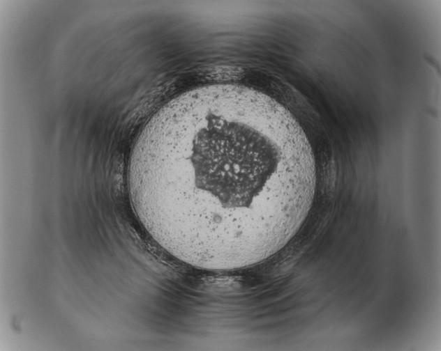 X0000103140553200809121756