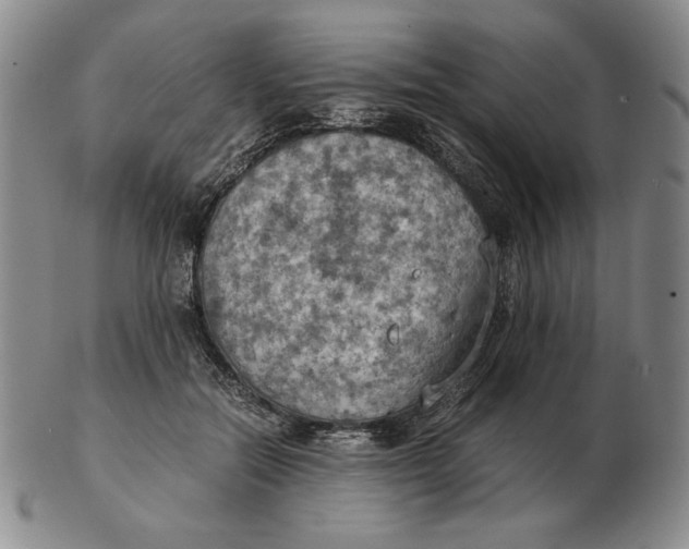 X0000103140554200809121756