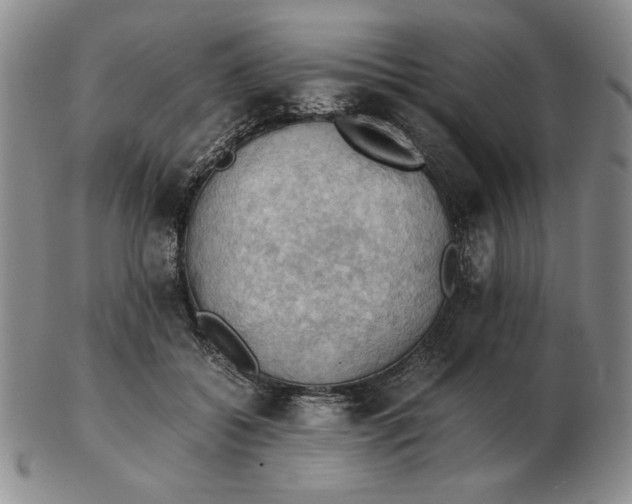 X0000103140556200809121756