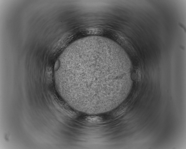 X0000103140557200809121756