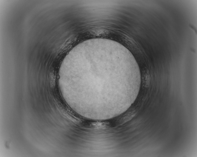 X0000103140558200809121756