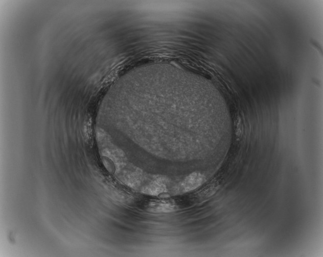 X0000103140559200809121756