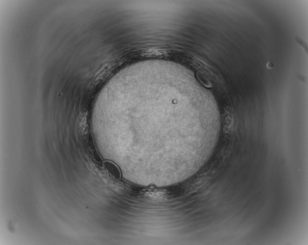 X0000103140560200809121756