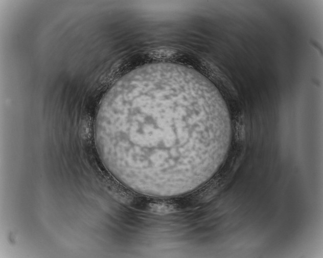 X0000103140561200809121756