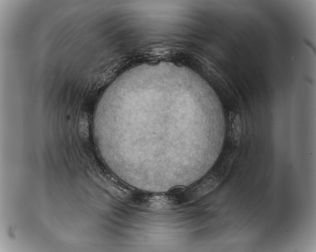 X0000103140562200809121756