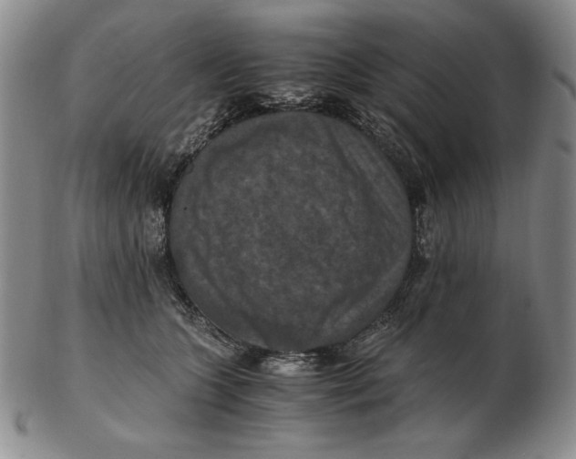 X0000103140563200809121756