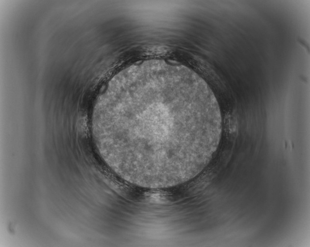 X0000103140564200809121756