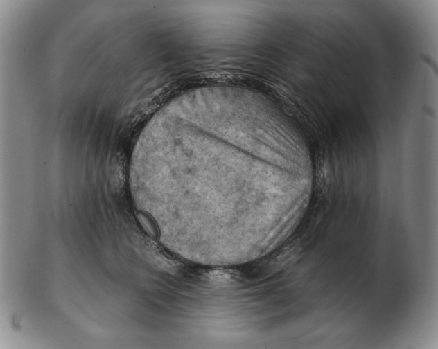 X0000103140566200809121756