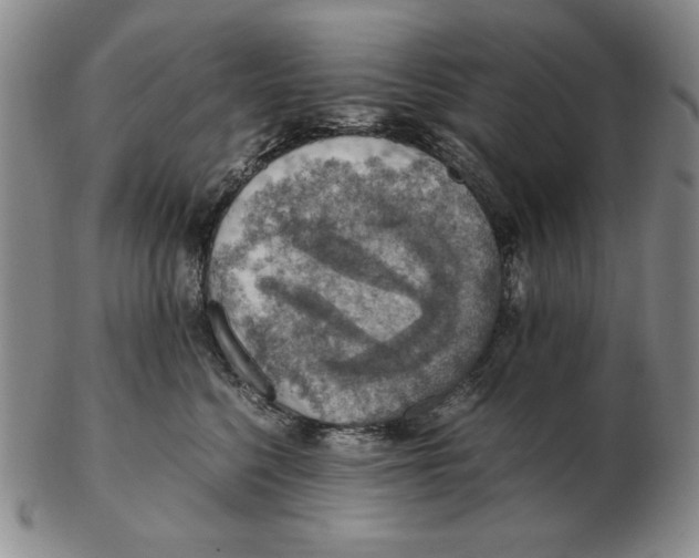 X0000103140568200809121756