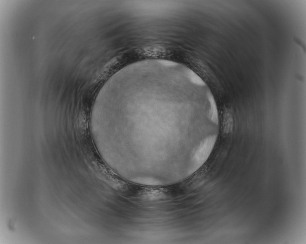 X0000103140569200809121756