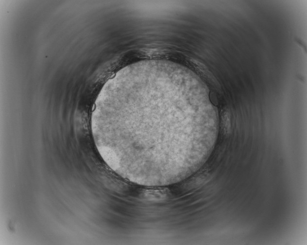 X0000103140571200809121756