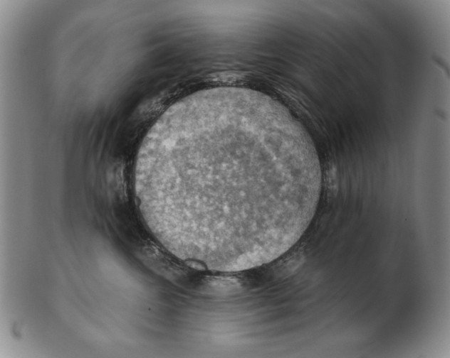 X0000103140572200809121756