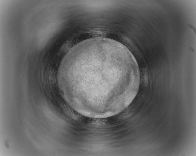 X0000103140573200809121756