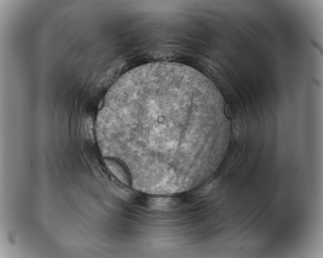 X0000103140575200809121756