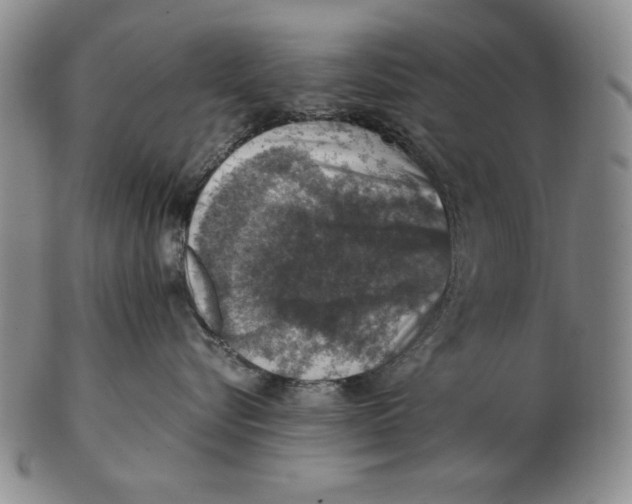 X0000103140576200809121756