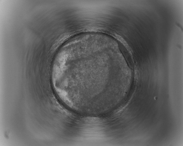 X0000103140577200809121756