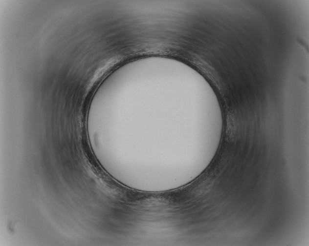 X0000103140578200809121756