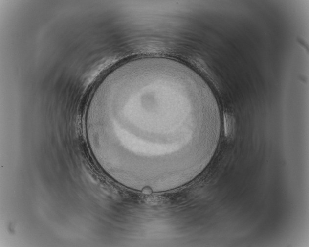 X0000103140579200809121756