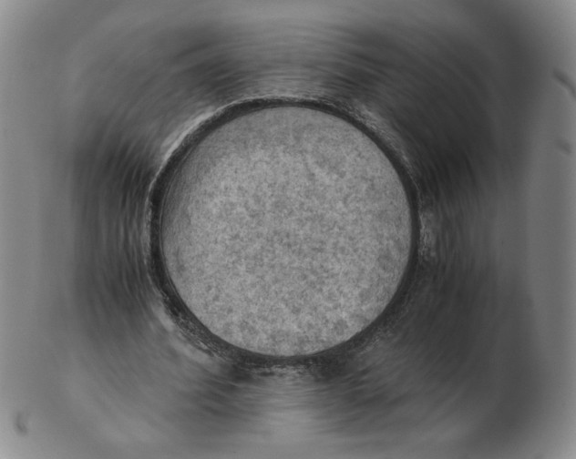 X0000103140580200809121756