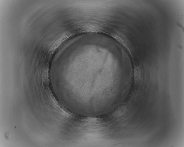 X0000103140581200809121756