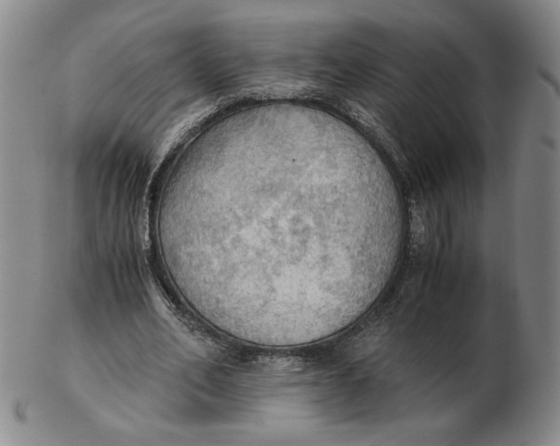 X0000103140582200809121756