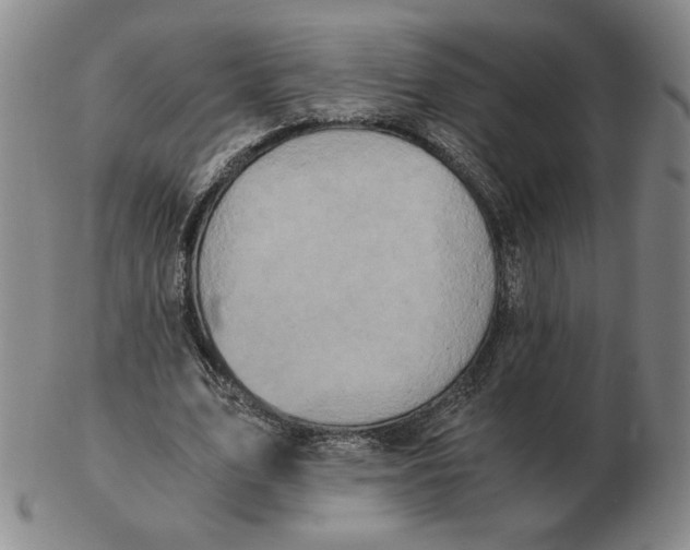 X0000103140583200809121756