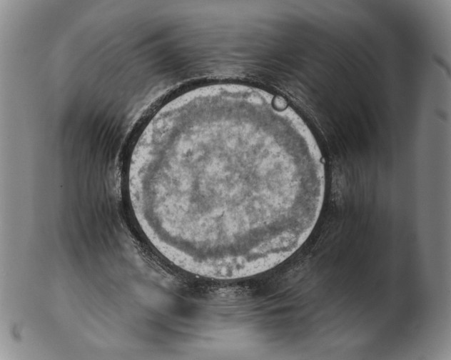 X0000103140584200809121756