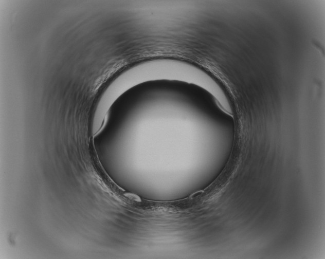 X0000103140585200809121756