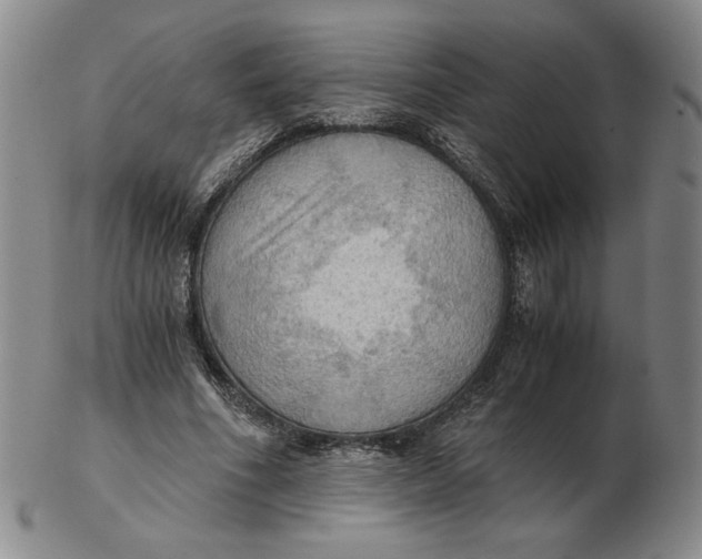 X0000103140586200809121756