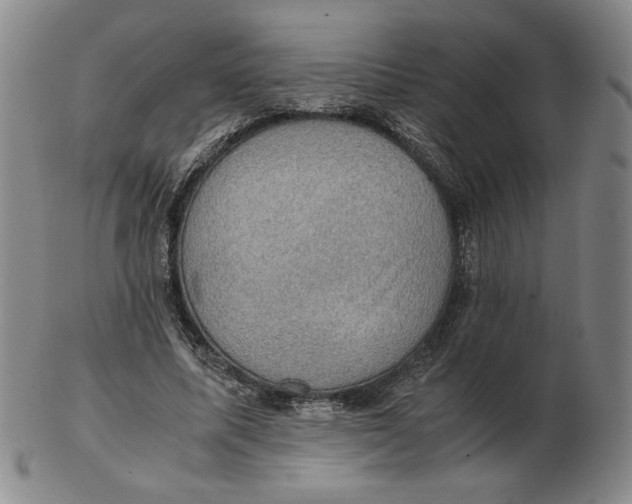 X0000103140587200809121756