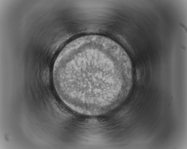 X0000103140588200809121756