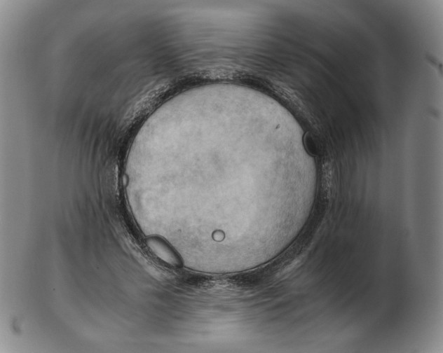 X0000103140589200809121756