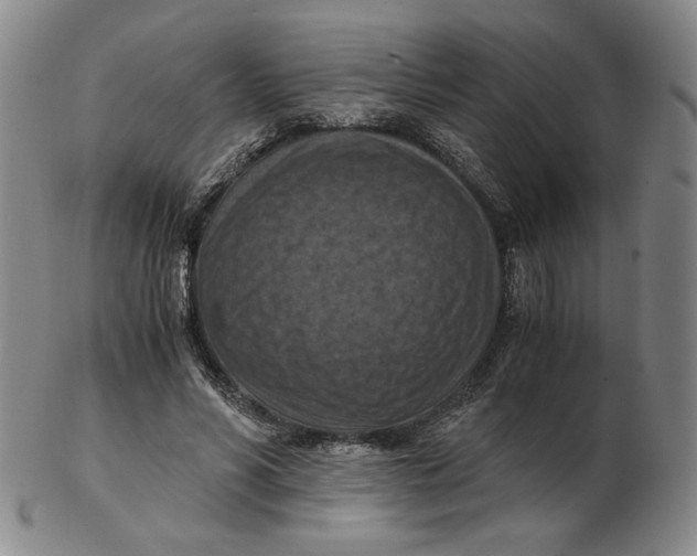 X0000103140590200809121756