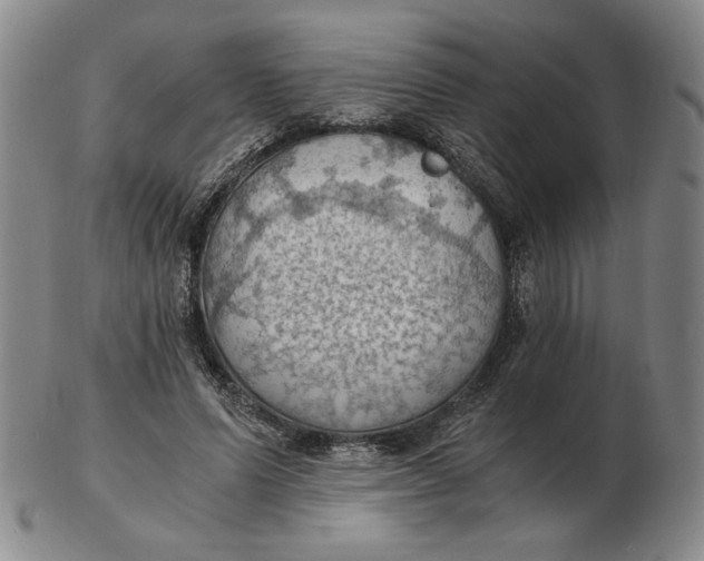 X0000103140591200809121756