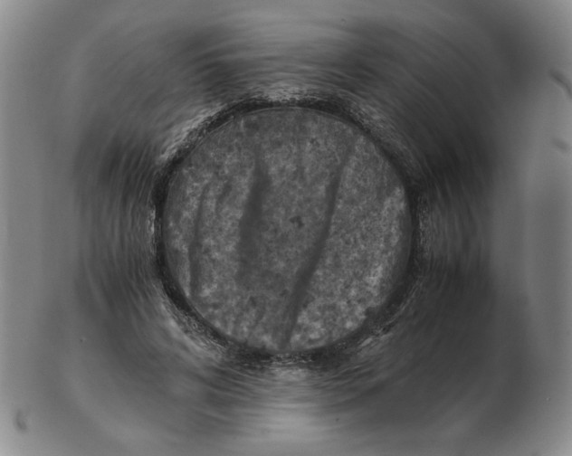 X0000103140592200809121756