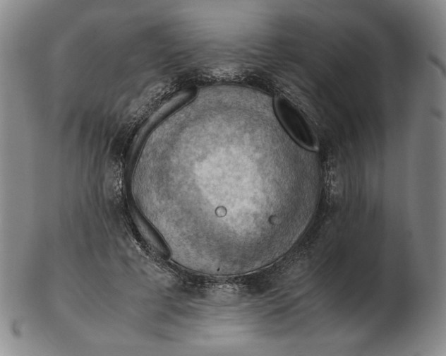 X0000103140593200809121756