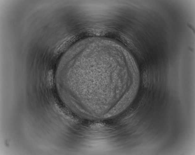 X0000103140594200809121755