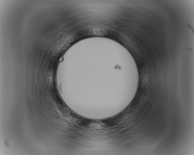 X0000103140595200809121755