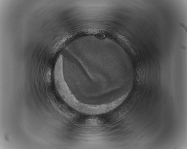 X0000103140596200809121755