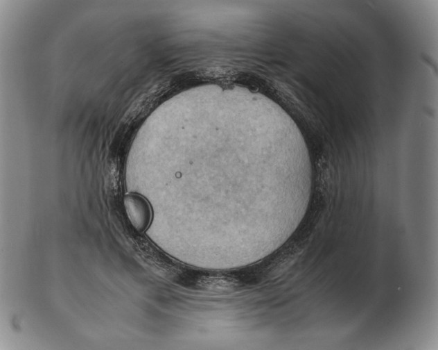 X0000103140597200809121755