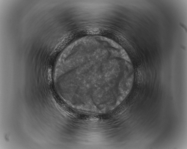 X0000103140598200809121755