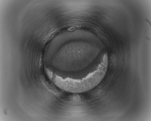 X0000103140600200809121755