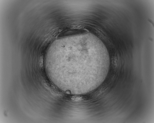 X0000103140602200809121755