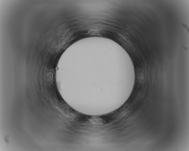 X0000103140603200809121755