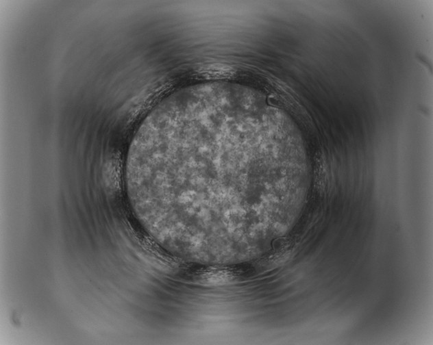 X0000103140604200809121755