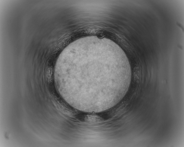 X0000103140605200809121755